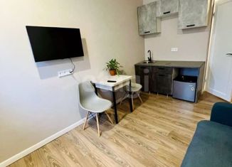 Продажа квартиры студии, 14.8 м2, Екатеринбург, Нагорная улица, 14, Нагорная улица