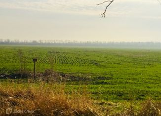Продам земельный участок, 200 сот., село Витязево, Винзаводская улица