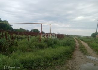 Продажа земельного участка, 21.5 сот., станица Камышеватская