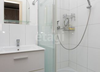 Продается квартира студия, 24.6 м2, микрорайон Вишнёвая Горка, Олимпийская улица, 5