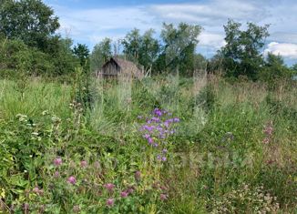 Продаю дом, 38.6 м2, деревня Кузнецово