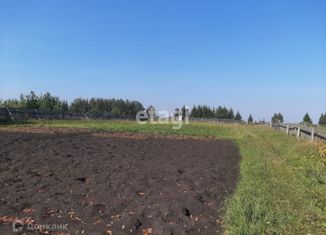 Участок на продажу, 30 сот., село Елизаветинское