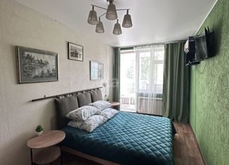 Однокомнатная квартира в аренду, 45 м2, Нижний Новгород, Новая улица, 51, Новая улица