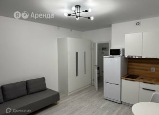 Сдам в аренду квартиру студию, 27 м2, Санкт-Петербург, улица Струве, 12, Московский район