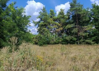 Продажа земельного участка, 12 сот., село Ближняя Игуменка