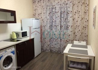 1-комнатная квартира в аренду, 38 м2, Новосибирск, улица Фрунзе, 49, метро Красный проспект