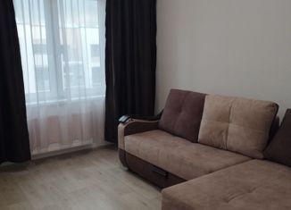 Сдается 1-ком. квартира, 40 м2, село Ембаево, Бульварная улица, 9