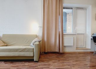 Сдается квартира студия, 37 м2, Санкт-Петербург, улица Михаила Дудина, 25к2, улица Михаила Дудина