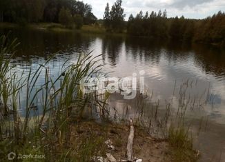 Земельный участок на продажу, 21 сот., деревня Груздовка