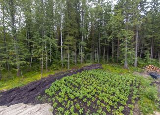 Продажа участка, 11.56 сот., село Тюнево, Тюменская улица