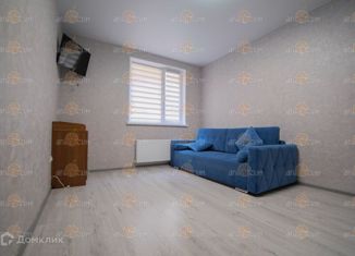 Сдам 1-комнатную квартиру, 35.9 м2, Ставрополь, улица Чапаева, 4/1Б, Октябрьский район