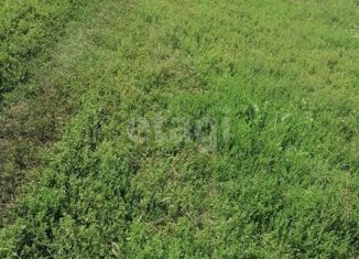 Продажа участка, 27 сот., село Ингенер-Пятина