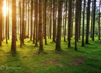 Продаю участок, 123 сот., деревня Глухово, коттеджный посёлок Архангельское, 6