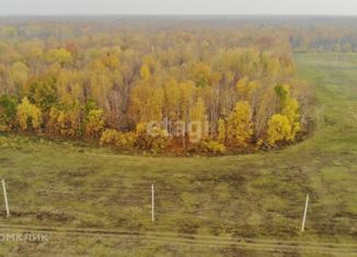 Продаю участок, 5 сот., село Горьковка, Сибирская улица