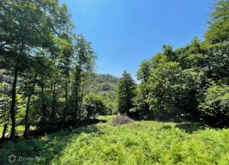 Продается земельный участок, 4.94 сот., СДТ Зенит, СДТ Зенит, 42