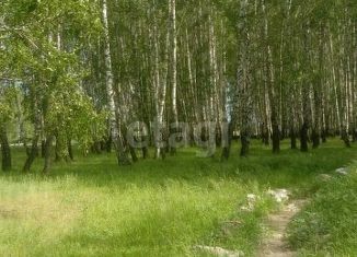 Продаю земельный участок, 15 сот., село Непряхино, Восточная улица