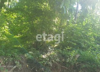 Продаю участок, 4.41 сот., село Васильевка