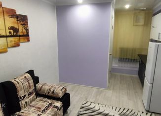 Продажа 1-ком. квартиры, 17 м2, Саратов, Тверская улица, 53, Ленинский район