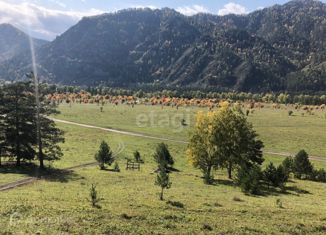 Земельный участок на продажу, 165 сот., село Узнезя