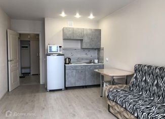 Квартира в аренду студия, 25 м2, Мурино, улица Шувалова, 22к2, ЖК Витамин