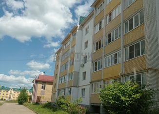 Продаю 2-ком. квартиру, 58.4 м2, деревня Берёзовка, Кленовая улица, 9