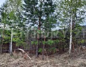 Продаю дом, 10 м2, СДТ Обувщик