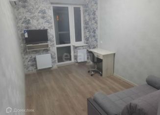 Квартира в аренду студия, 26 м2, Ростов-на-Дону, улица Ларина, 45с6