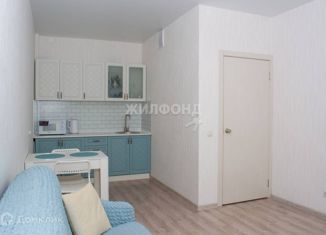 Продается квартира студия, 25.5 м2, Барнаул, Балтийская улица, 93