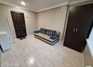 Продаю квартиру студию, 20.8 м2, посёлок Российский, улица Куликова Поля, 31