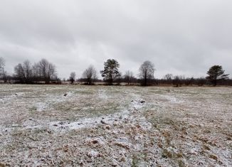 Продается участок, 273 сот., поселок Пчёлино