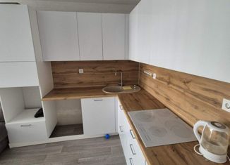 Сдается в аренду 3-ком. квартира, 77.5 м2, Уфа, улица Гази Загитова, 9