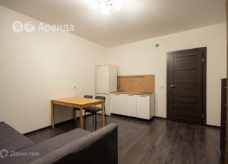 Аренда квартиры студии, 24 м2, Санкт-Петербург, проспект Ветеранов, 183, Красносельский район