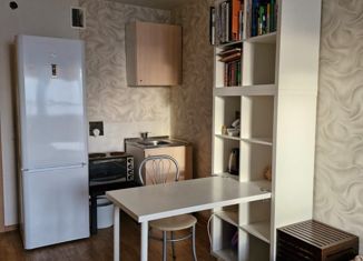 Продаю квартиру студию, 31.8 м2, Санкт-Петербург, Туристская улица, 24/42, Туристская улица