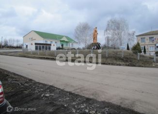 Продаю дом, 66.8 м2, село Репьёвка, Школьная улица