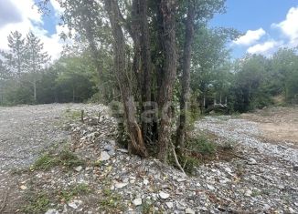 Продам участок, 4.8 сот., село Васильевка