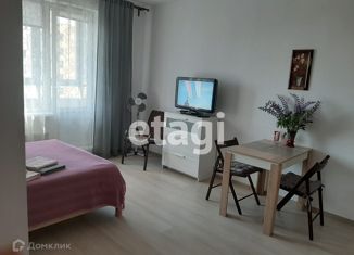 Квартира на продажу студия, 29 м2, Санкт-Петербург, ЖК Триумф Парк