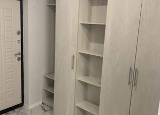 Сдается квартира студия, 25 м2, село Раздольное, Тепличная улица, 38Г