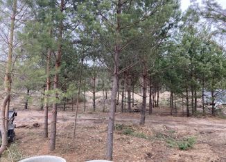 Продам участок, 24.11 сот., деревня Сивково