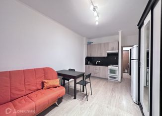 Аренда квартиры студии, 25 м2, Санкт-Петербург, улица Катерников, 7, улица Катерников