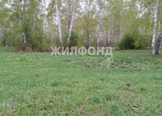 Продам земельный участок, 30 сот., село Барлак