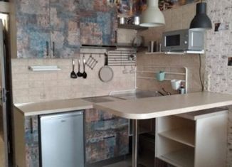 Квартира в аренду студия, 29.2 м2, Санкт-Петербург, Варшавская улица, 19к5, метро Электросила