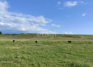 Продам земельный участок, 48.3 сот., Чистенское сельское поселение