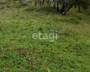 Участок на продажу, 10 сот., село Нижнекаянча, Центральная улица, 54