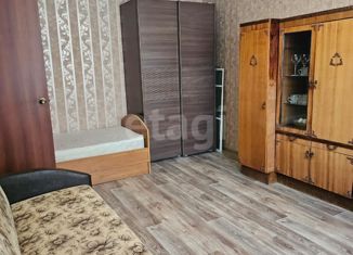 Продаю 1-комнатную квартиру, 30 м2, Пенза, Минская улица, 3А