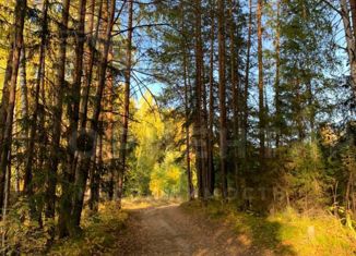 Продам земельный участок, 46 сот., посёлок Таватуй, Горная улица