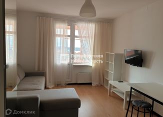 Продаю квартиру студию, 25 м2, Санкт-Петербург, проспект Энергетиков, 9к1, ЖК Зималето