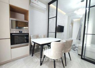 1-комнатная квартира на продажу, 25 м2, Сочи, Фермерский переулок, 24/1, микрорайон Энергетик-Изумруд