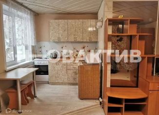 Квартира в аренду студия, 30 м2, Новосибирск, Линейная улица, 35/2, метро Гагаринская