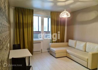 Сдаю квартиру студию, 26 м2, Новосибирск, улица Фрунзе, 20, метро Маршала Покрышкина