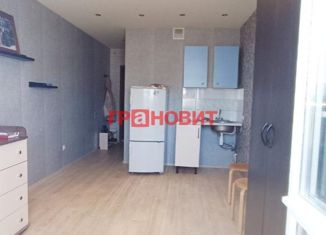 Продажа квартиры студии, 19.1 м2, Новосибирск, Березовая улица, 19, Березовая улица
